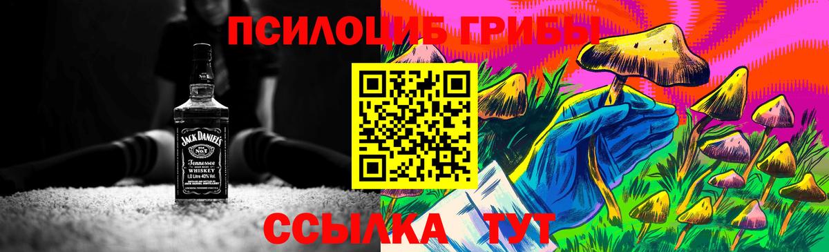 Казань  хочу   Вход с VPN  Галлюциногенные грибы Cubensis 